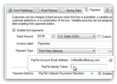 Web Form Builder — payment options configuration